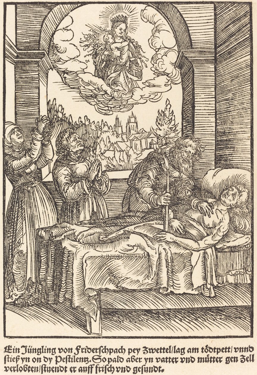 Ein Jungling von Friderschpach ... da Master of the Miracles of Mariazell