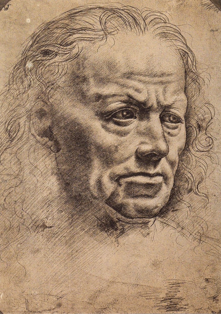 Testa di un uomo da Master of the Pala Sforzesca