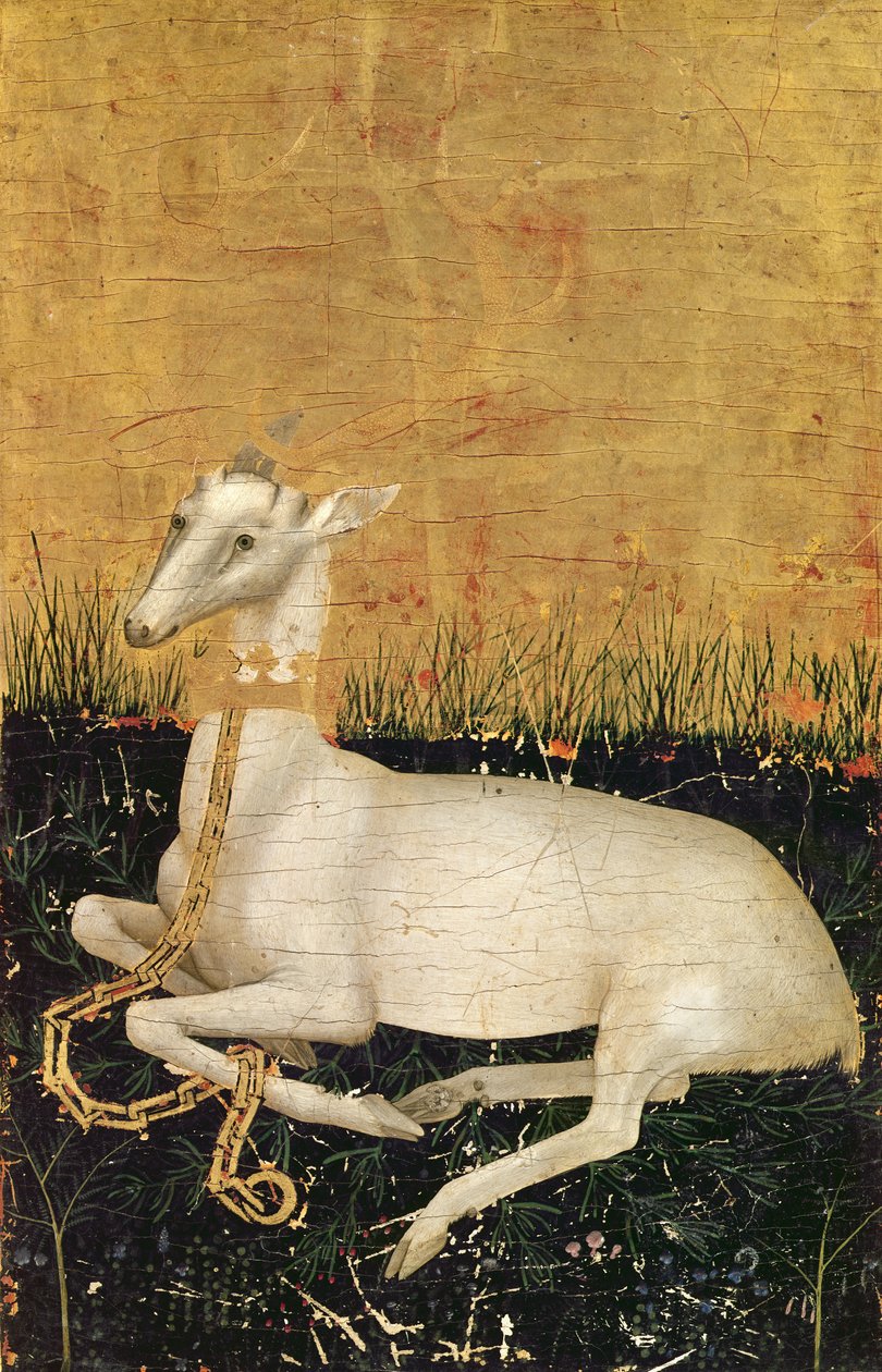Cervo Bianco, dal 