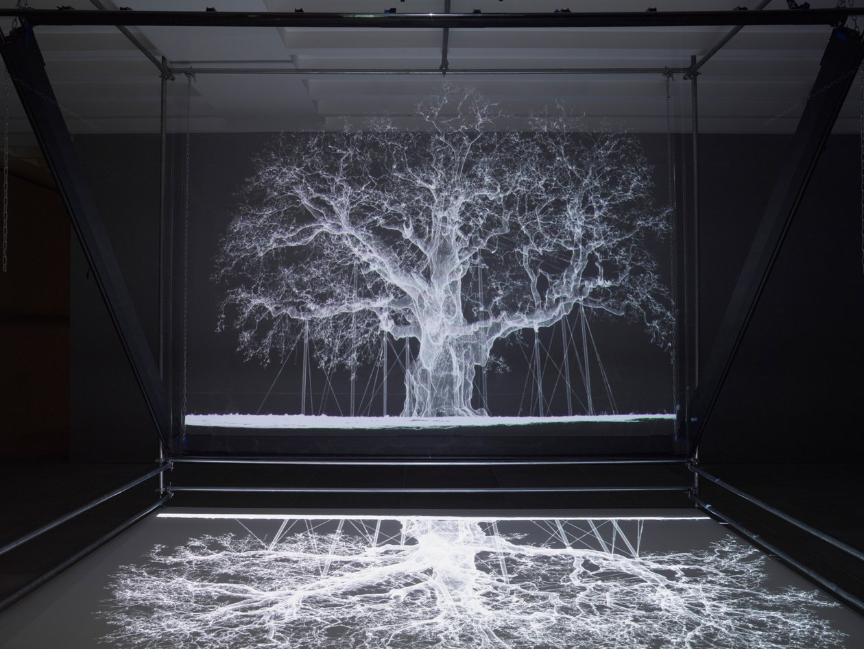 Albion, 2017 (Proiettore, lettore multimediale, impalcatura, pellicola trasparente, legno, vernice, specchio, accessori per lo stretching) da Mat Collishaw