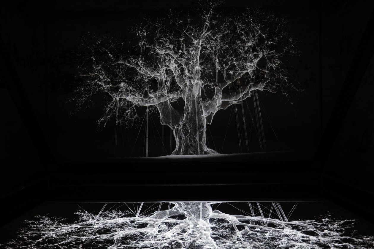 Albion, 2017 (Proiettore, lettore multimediale, impalcatura, pellicola trasparente, legno, vernice, specchio, accessori per lo stretching) da Mat Collishaw