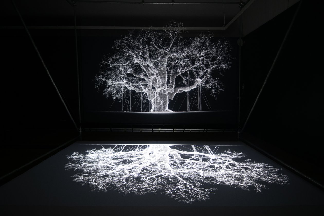 Albion, alla mostra "Petrichor" di Mat Collishaw ai Kew Gardens, Londra, 2023 (foto) da Mat Collishaw