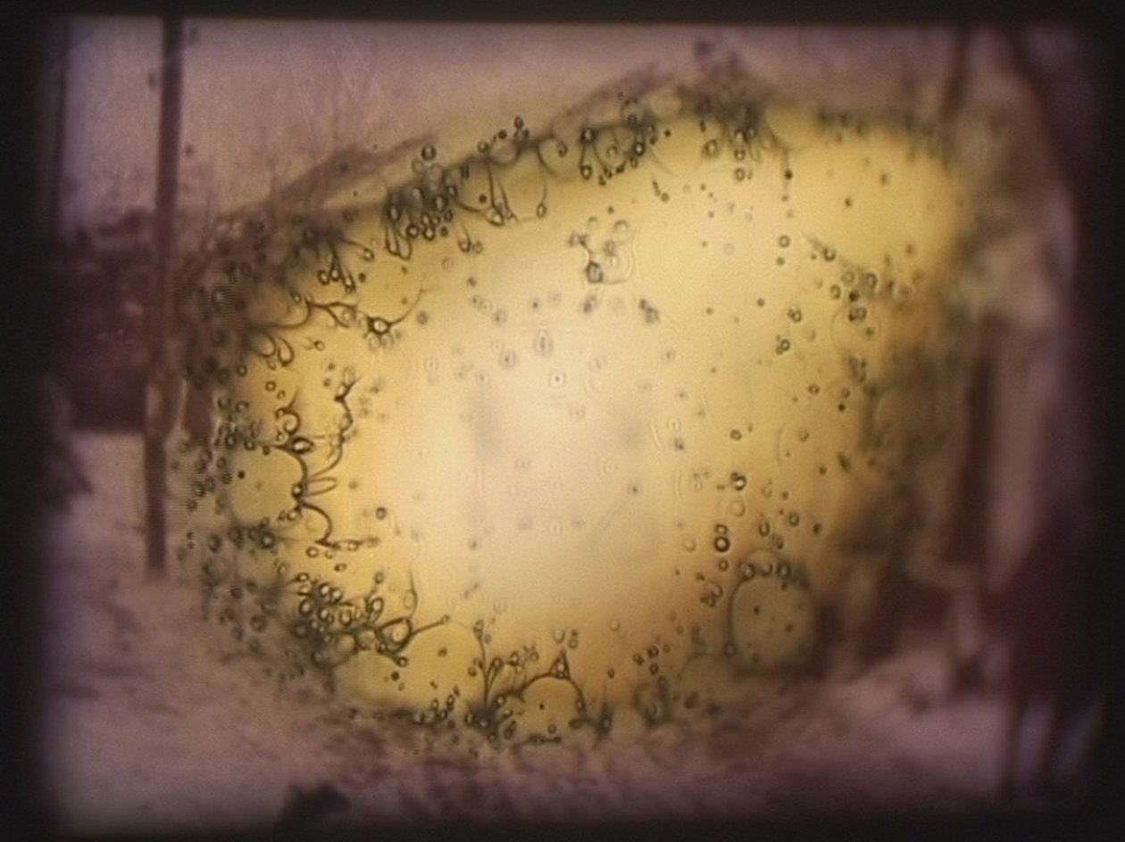 Barbarossa, 2002 (videoproiettore e proiettore di diapositive simulate) da Mat Collishaw