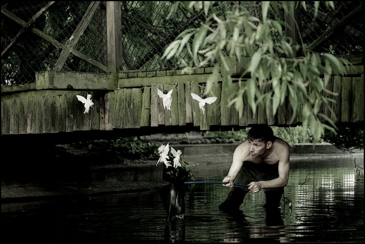 Catturare le fate 6 da Mat Collishaw