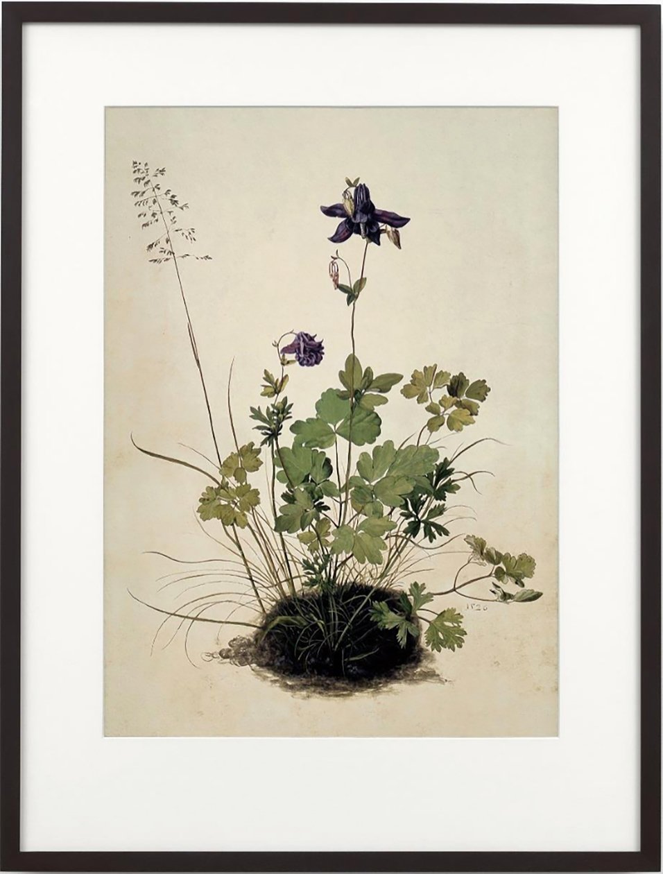 Columbine, 2018 (cornice in legno, bordo, schermo LCD, ventilatore e lettore multimediale) da Mat Collishaw