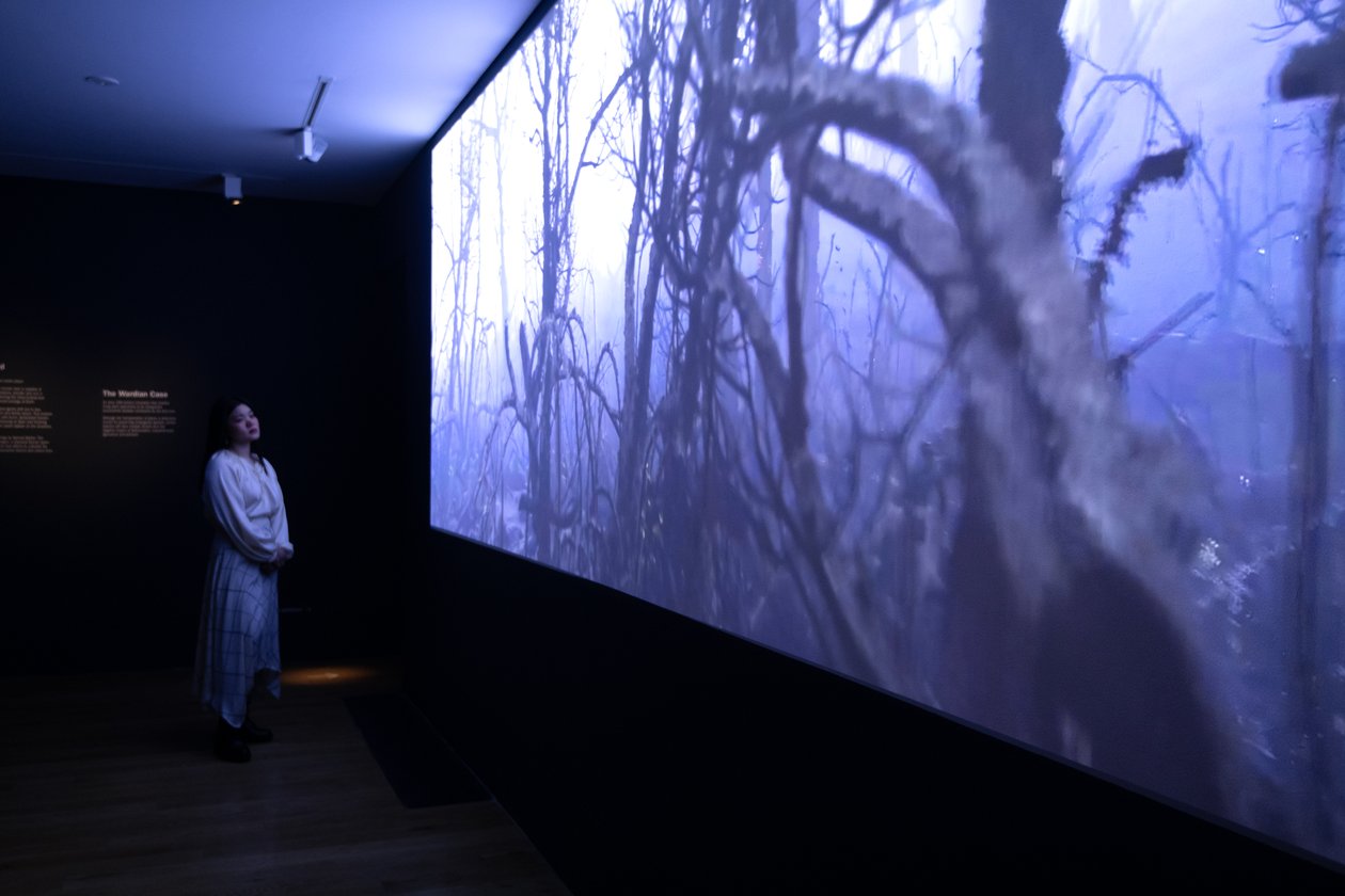 Even to the End, alla mostra "Petrichor" di Mat Collishaw ai Kew Gardens, Londra, 2023 (foto) da Mat Collishaw