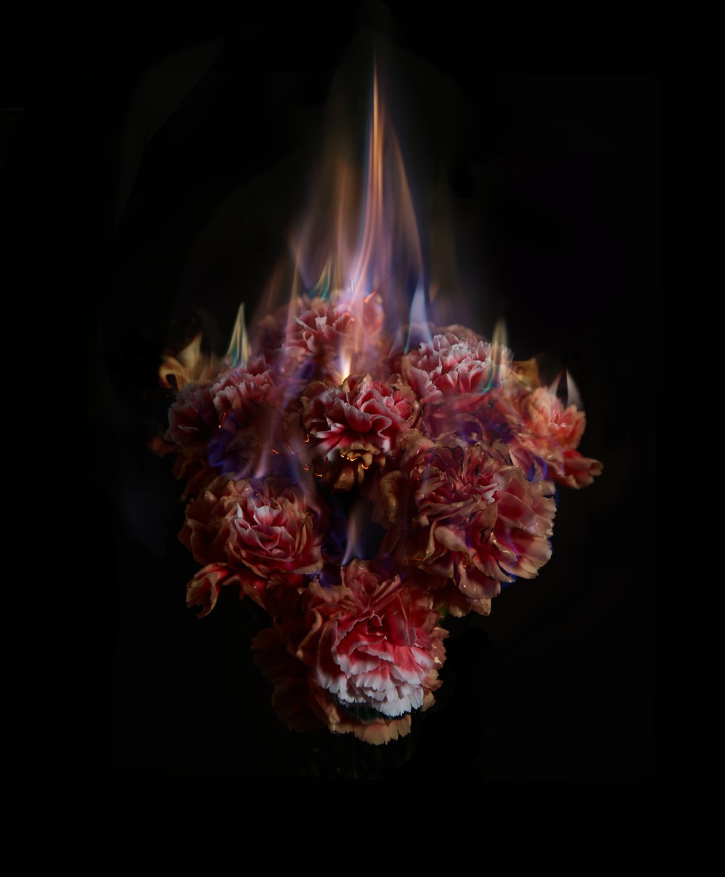 Fading Memories of the Sun, 2013 (fotografia di tipo C) da Mat Collishaw