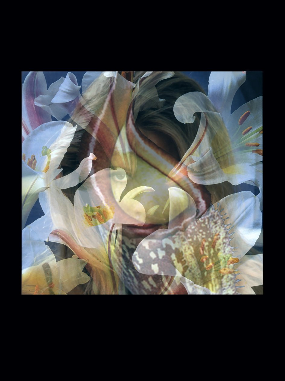 Carnefici 3 da Mat Collishaw