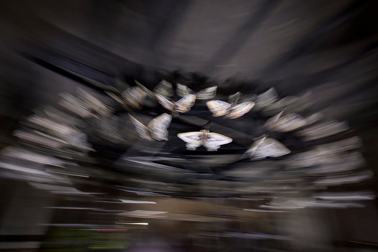Lanterna magica, 2010 (struttura in acciaio, lamiera forata di alluminio, resina espansa, luci LED, motore) da Mat Collishaw