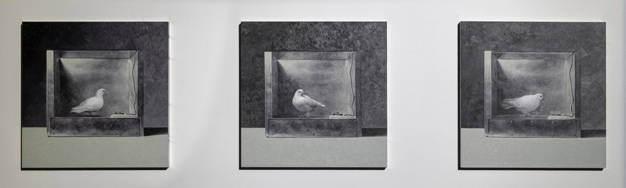 Camera di condizionamento operativo 3, 2022 (olio su pannello di alluminio) da Mat Collishaw