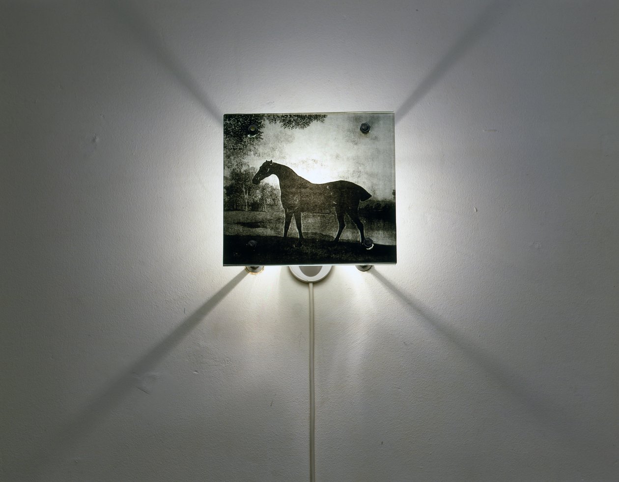Cavalli Stubbs da Mat Collishaw