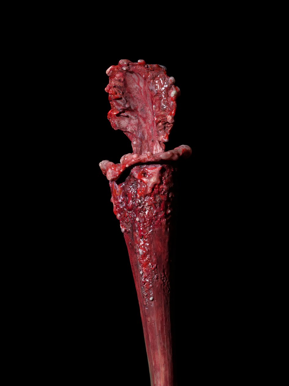 La Musa Venale, Fenside, 2012 (resina, vernice a smalto, legno, vetro, acciaio) da Mat Collishaw