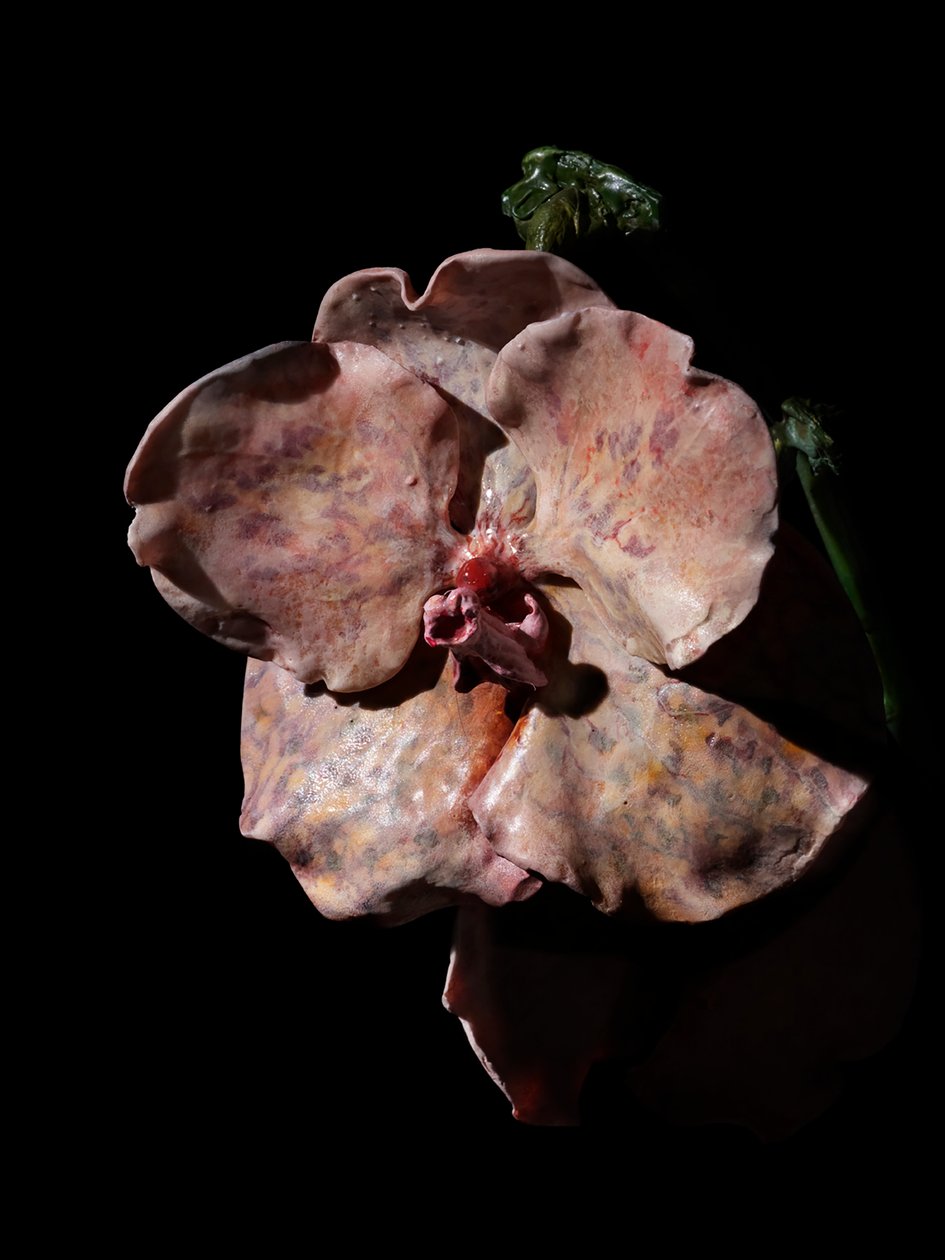 Venal Muse, Impetus, 2012 (resina, vernice a smalto, legno, vetro, acciaio) da Mat Collishaw