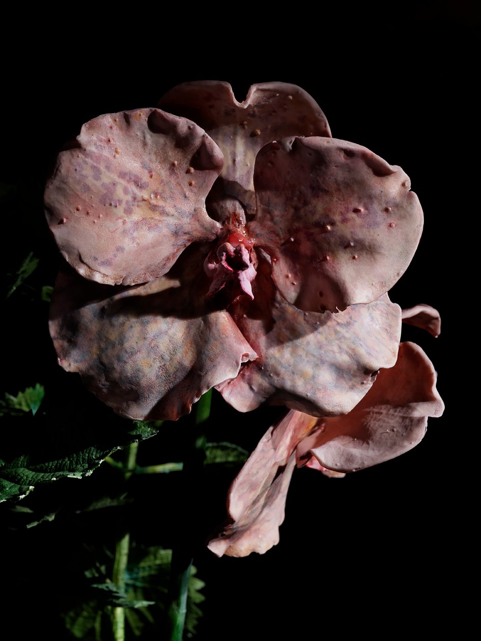 Venal Muse, Impetus, 2012 (resina, vernice a smalto, legno, vetro, acciaio) da Mat Collishaw