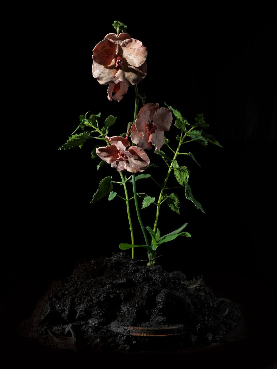 Venal Muse, Impetus, 2012 (resina, vernice a smalto, legno, vetro, acciaio) da Mat Collishaw