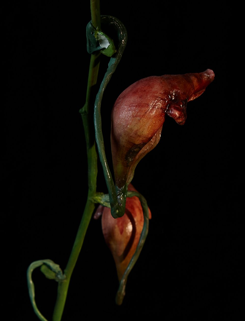 Venal Muse, Lafage, 2012 (resina, vernice a smalto, legno, vetro, acciaio) da Mat Collishaw
