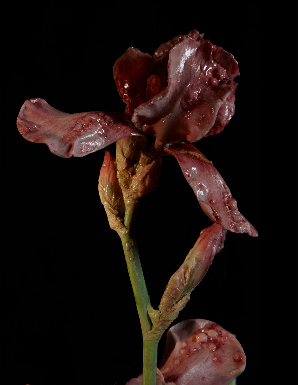Venal Muse, Viridor, 2012 (resina, vernice a smalto, legno, vetro, acciaio) da Mat Collishaw