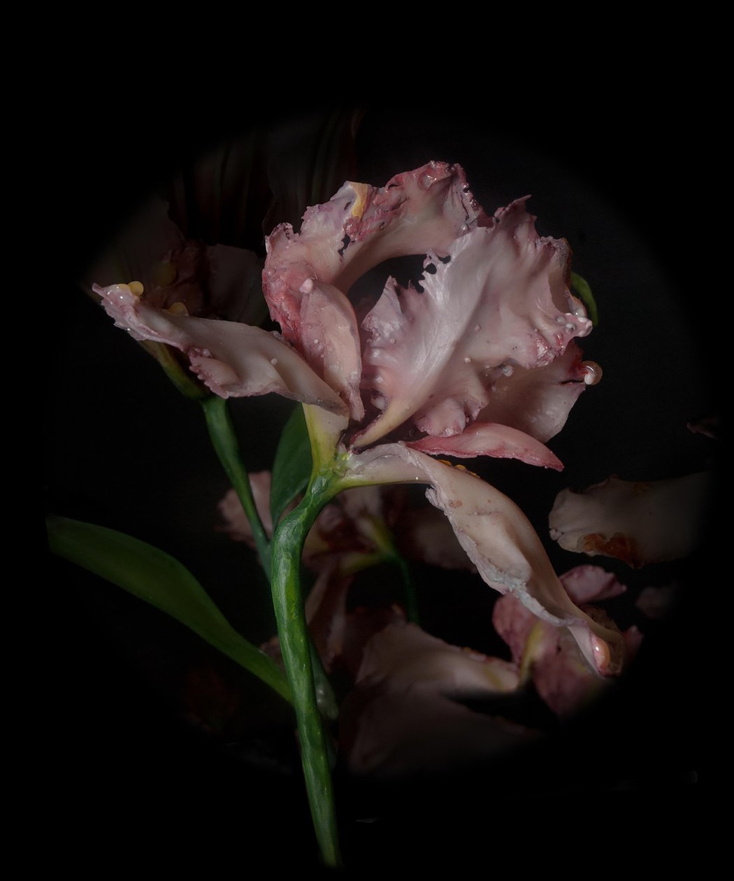 Venal Muse, Viridor, 2012 (resina, vernice a smalto, legno, vetro, acciaio) da Mat Collishaw