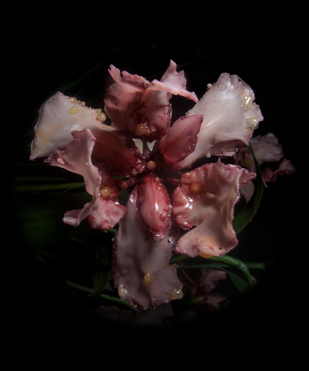 Venal Muse, Viridor, 2012 (resina, vernice a smalto, legno, vetro, acciaio) da Mat Collishaw