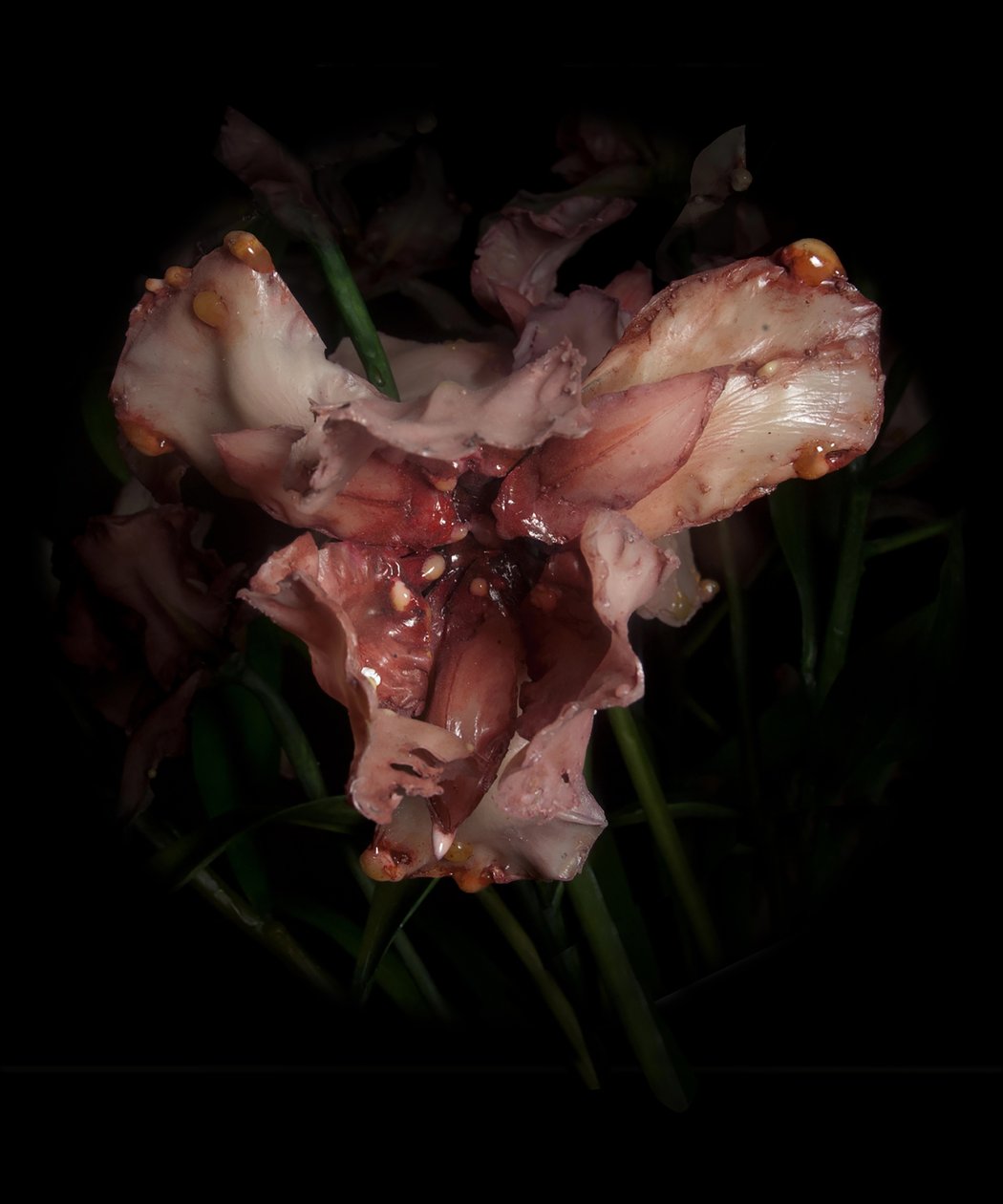 Venal Muse, Viridor, 2012 (resina, vernice a smalto, legno, vetro, acciaio) da Mat Collishaw