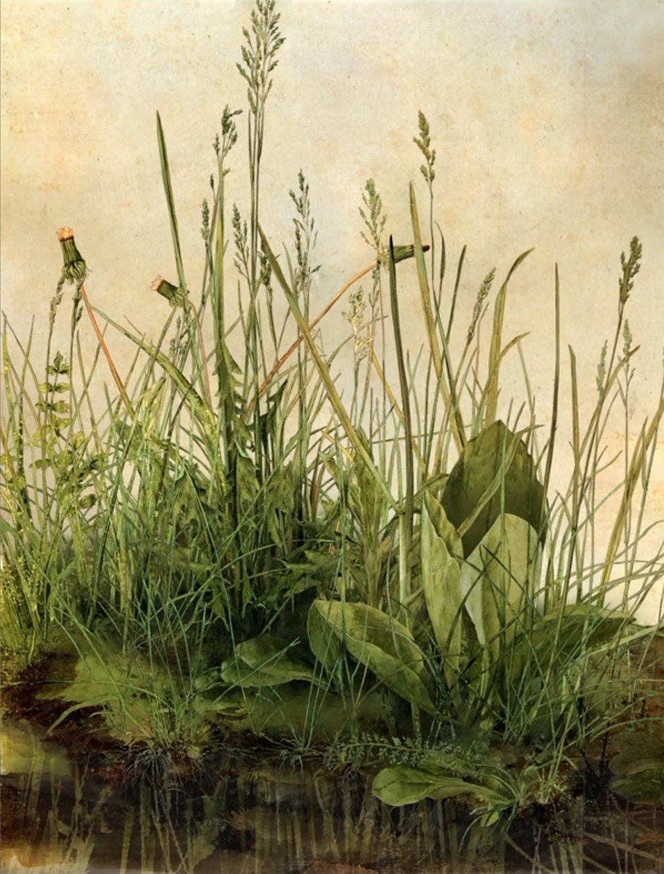 Whispering Weeds, 2011 (cornice in legno, bordo, schermo LCD, ventola e disco rigido) da Mat Collishaw