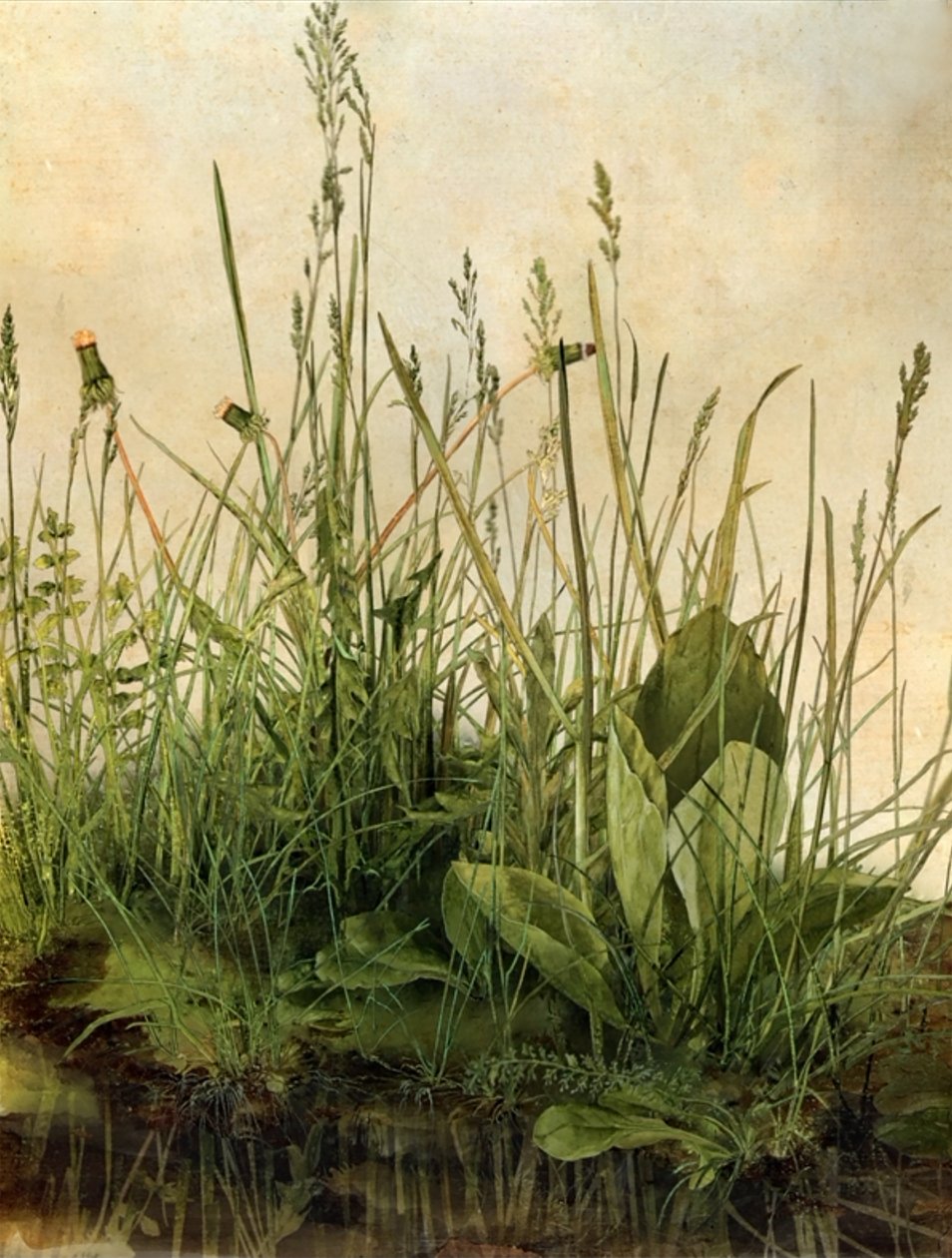 Whispering Weeds, 2011 (cornice in legno, bordo, schermo LCD, ventola e disco rigido) da Mat Collishaw