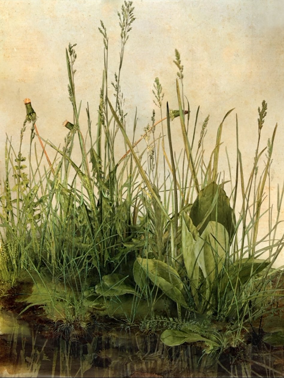 Whispering Weeds, 2011 (cornice in legno, bordo, schermo LCD, ventola e disco rigido) da Mat Collishaw