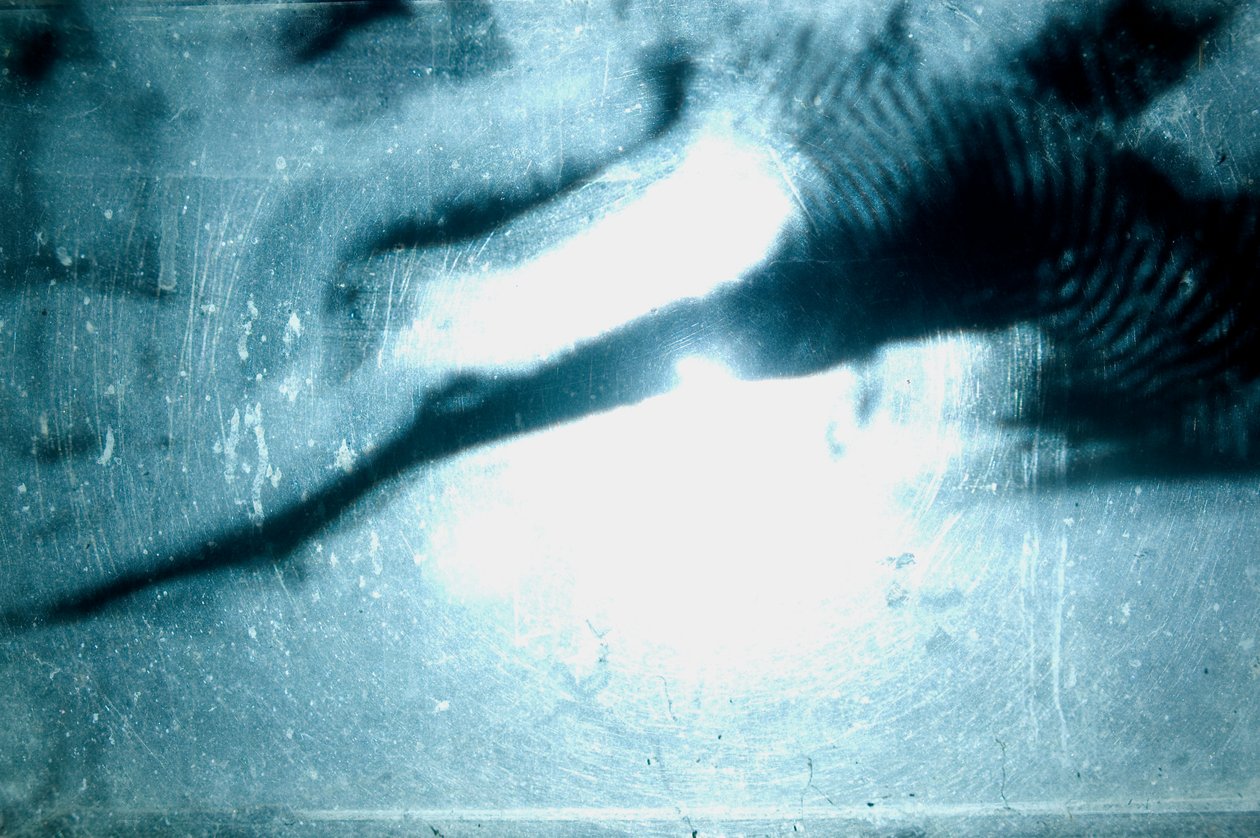 Wormery, 2009 (legno, vetro, acciaio, proiettore e lettore) da Mat Collishaw