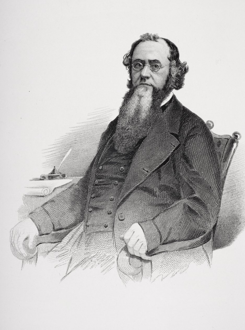 Ritratto di Edwin M. Stanton (1814-69) da Mathew B. Brady