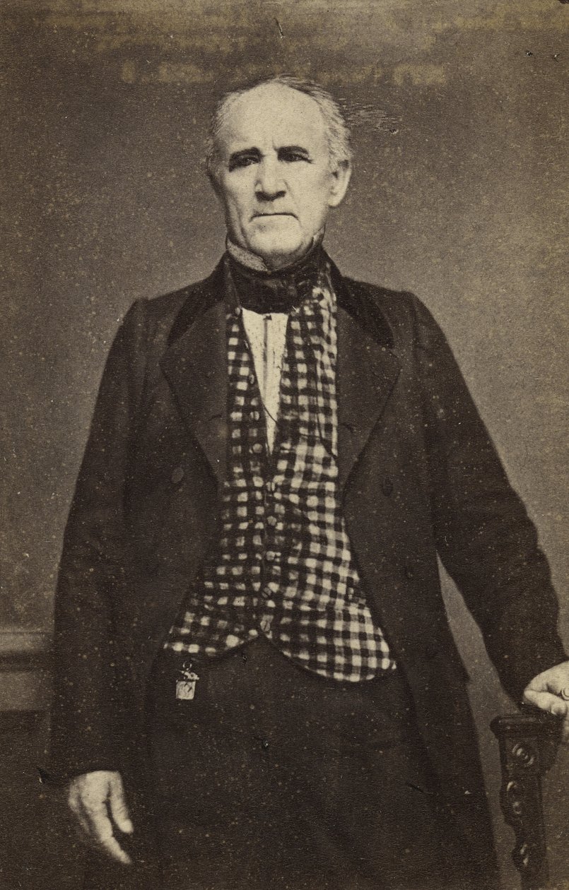 Sam Houston, c.1860-65 (stampa all