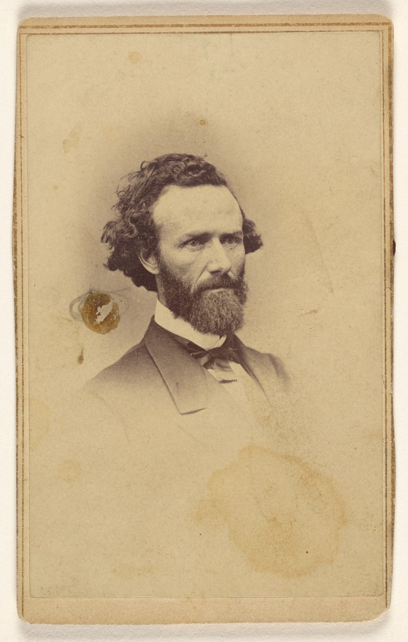 [Uomo barbuto non identificato] da Mathew B. Brady