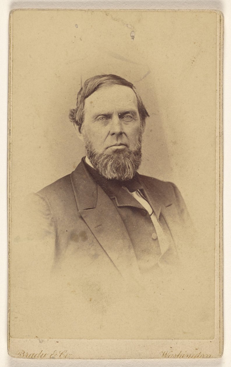 [Uomo barbuto non identificato, raffigurato in stile vignetta] da Mathew B. Brady