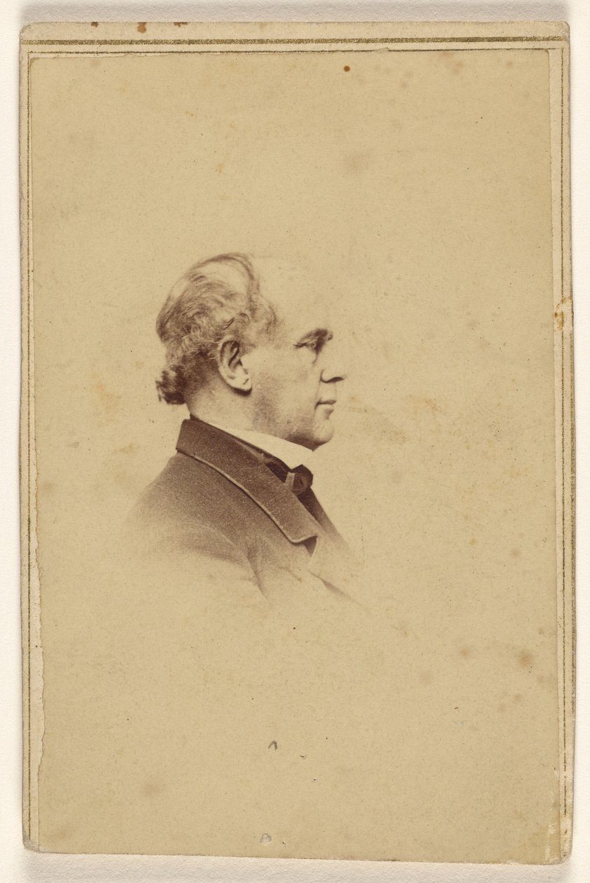[Uomo non identificato di profilo, stampato in stile vignetta] da Mathew B. Brady