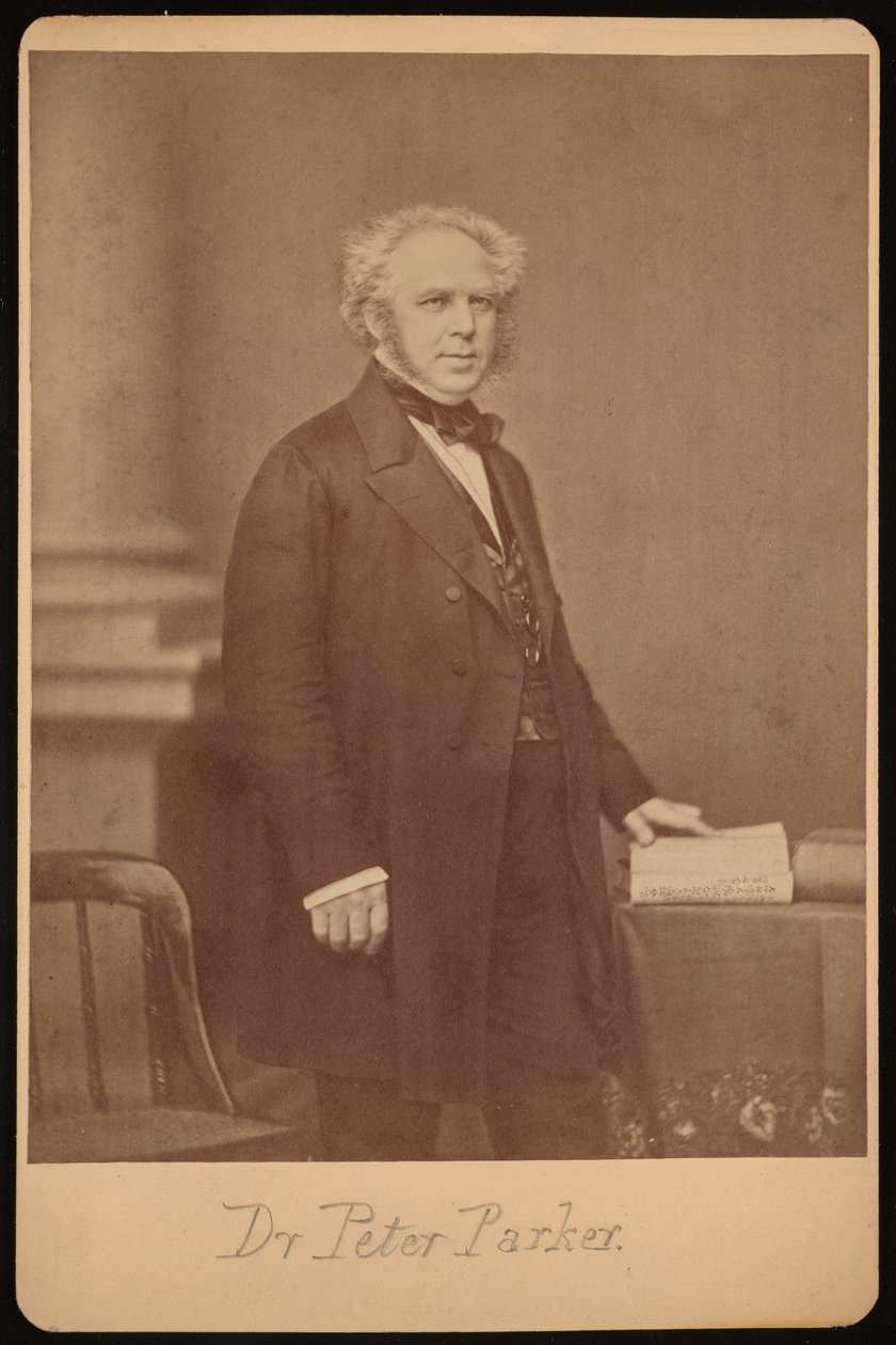 Ritratto di Peter Parker 1804-1888 da Mathew Brady