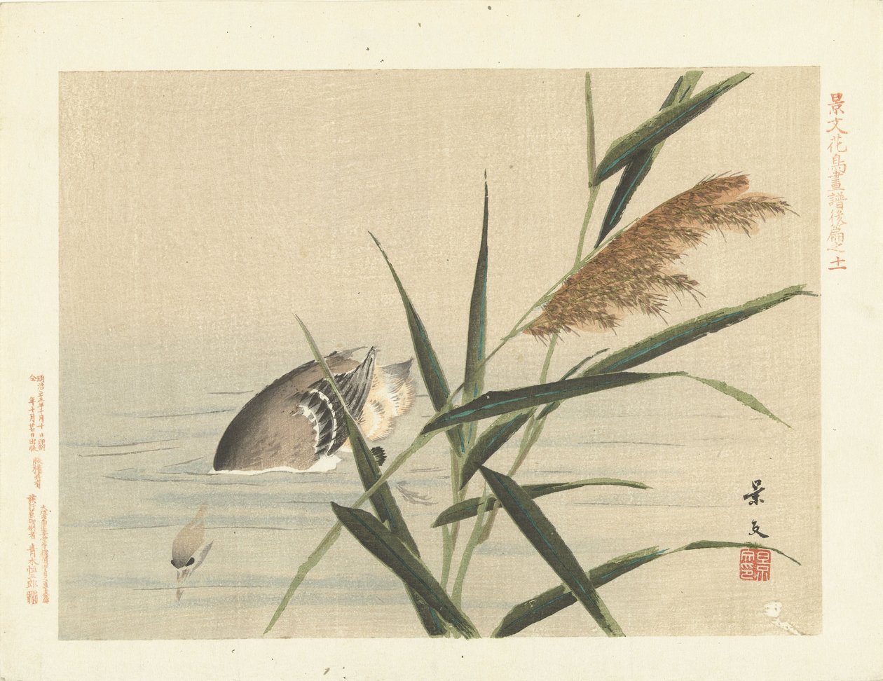 Anatra che si tuffa vicino alle canne da Matsumura Keibun