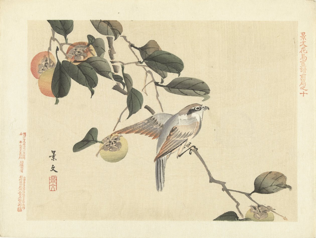 Uccello e cachi da Matsumura Keibun