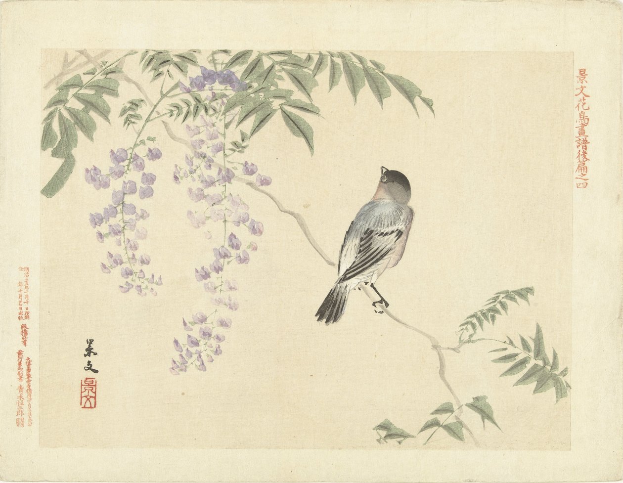 Uccello su ramo di glicine (serie: Schizzi di fiori e uccelli di Keibun - parte tre) da Matsumura Keibun