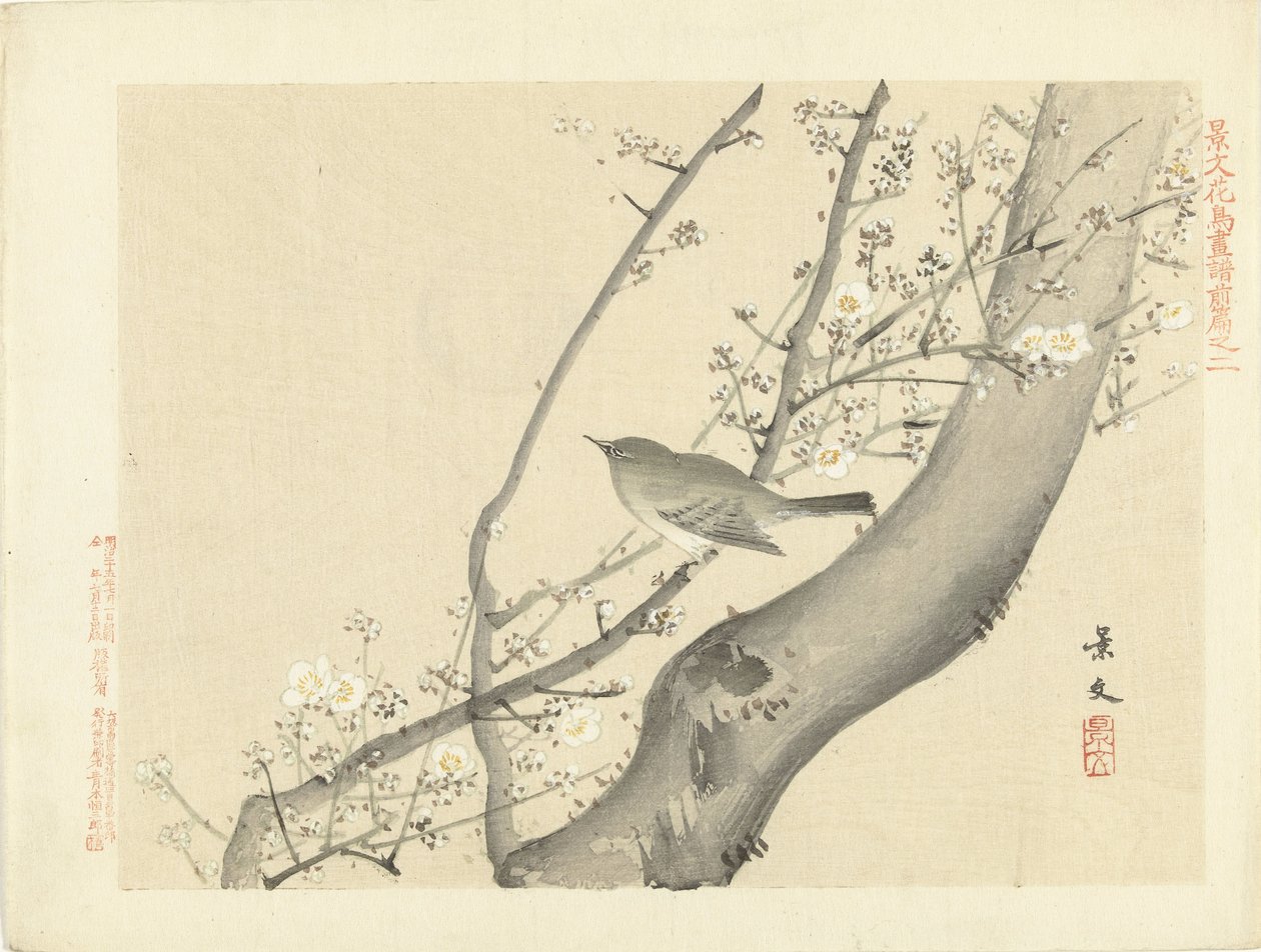 Uccellino su albero con fiori bianchi da Matsumura Keibun