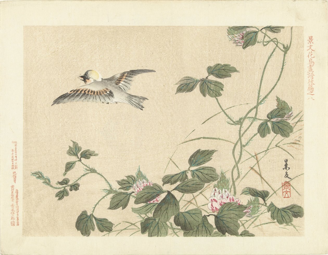 Uccello in volo vicino a una pianta rampicante con fiori rosa da Matsumura Keibun