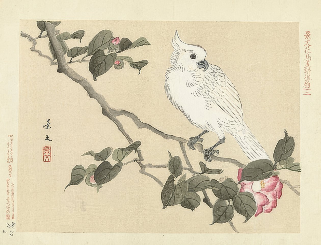 Cacatua bianco su un ramo di camelia. 1892 da Matsumura Keibun
