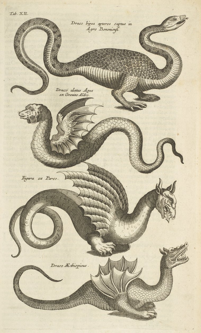 Tab XII, Creature mitiche, draghi, Illustrazione da 
