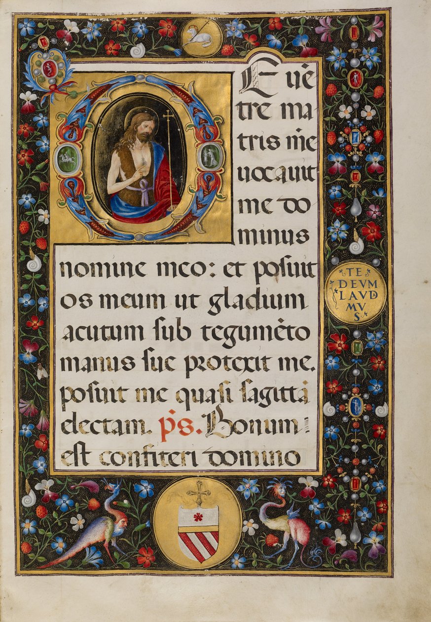 Iniziale D: San Giovanni Battista da Matteo da Milano