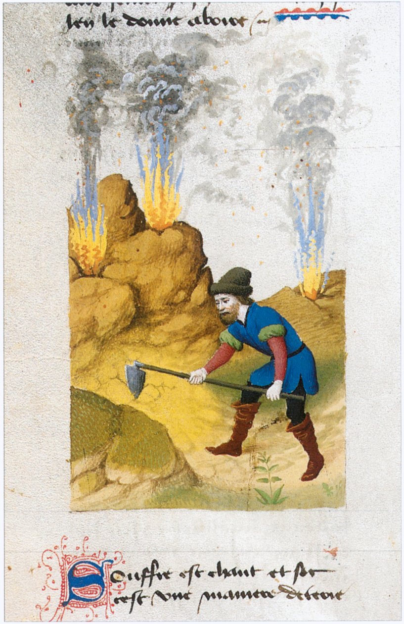 Le Livre des simples medecines - traduzione in francese dal manoscritto latino del XII secolo di Matthaeus Platearius (pergamena) da Matthaeus Platearius