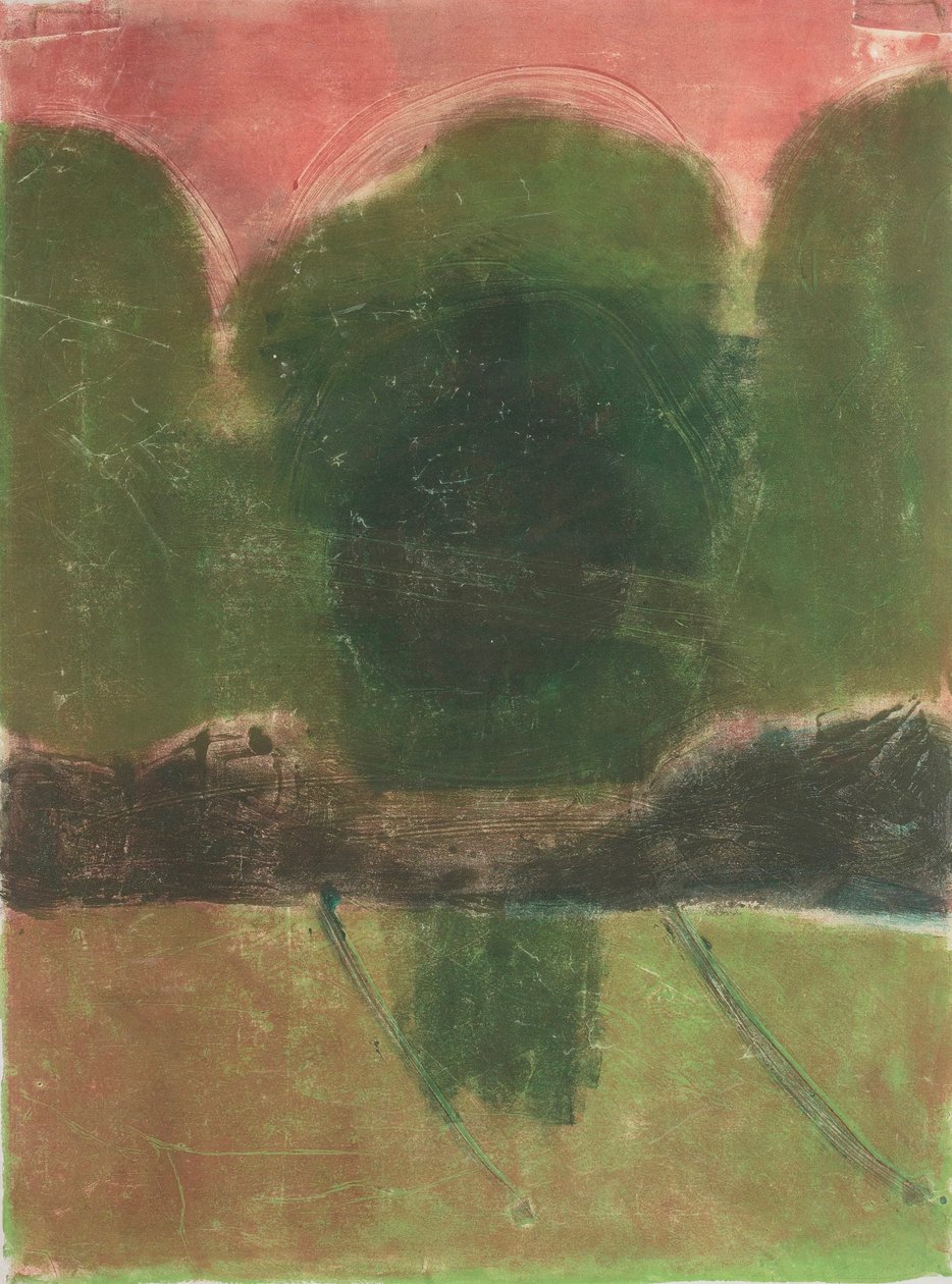 Alberi I da Matthew Hilton