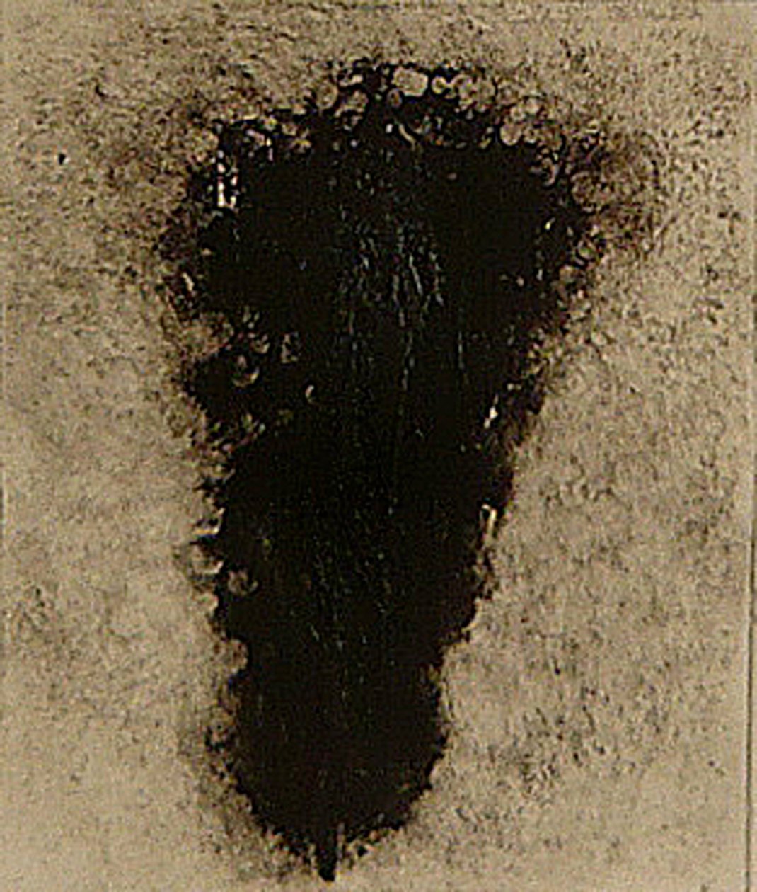 ossie, 2009 (eliografia) da Matthew Hilton