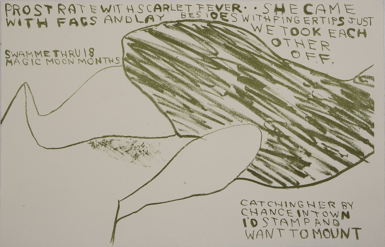 è venuta con i finocchi, 2009 (litografia) da Matthew Hilton