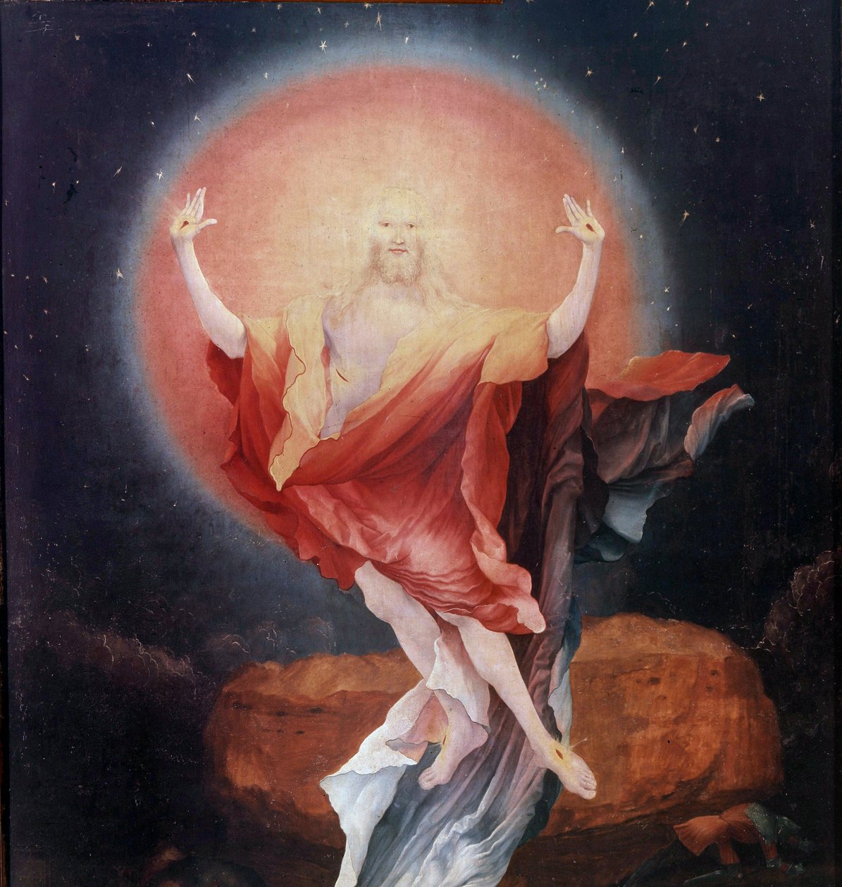 Pala d