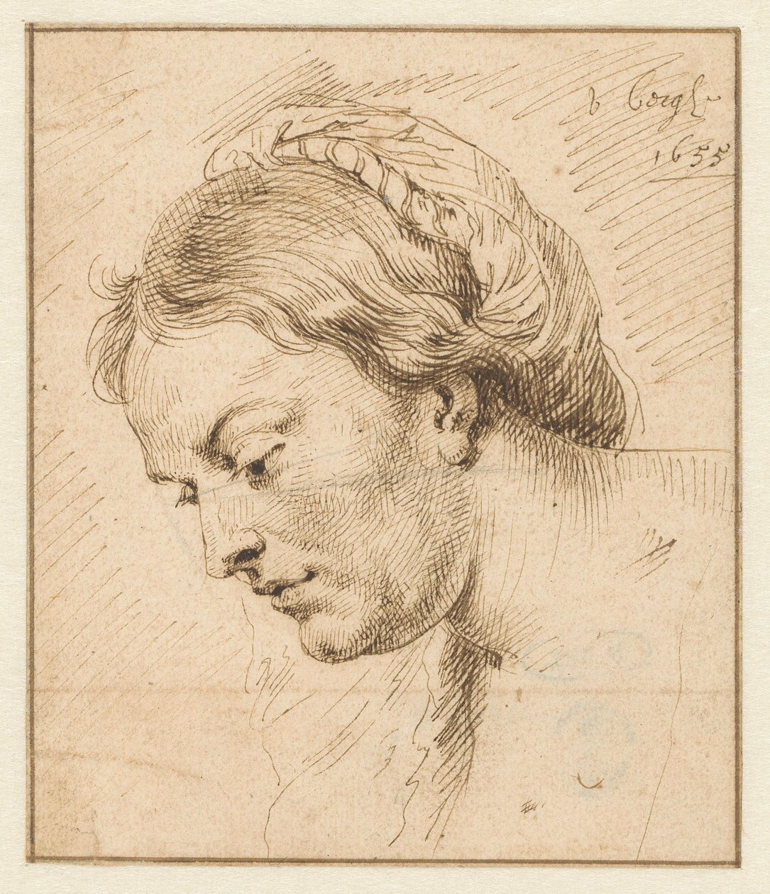 Testa di donna da Matthys van den Bergh