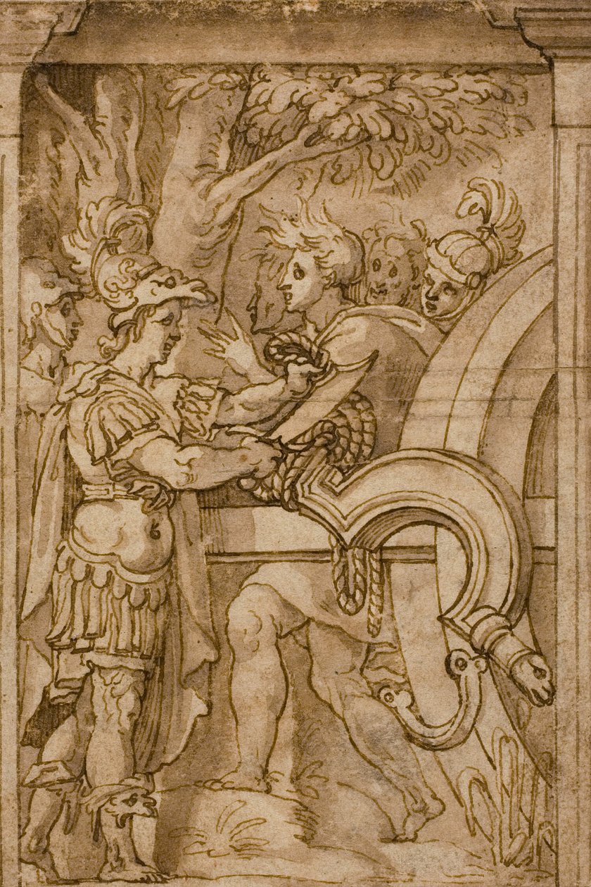 Alessandro taglia il nodo gordiano da Maturino da Firenze