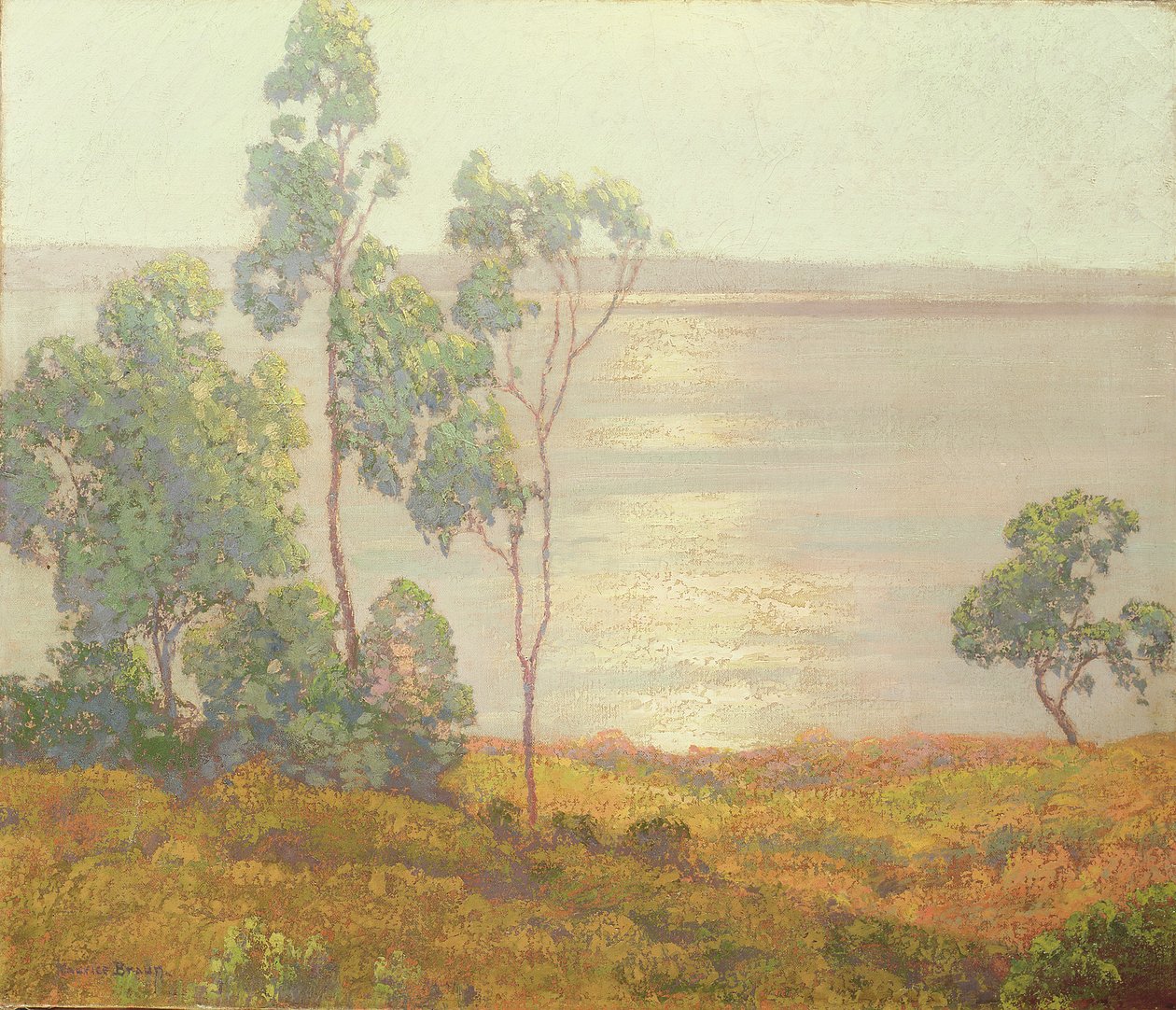 Il Sole del Mattino, San Diego da Maurice Braun